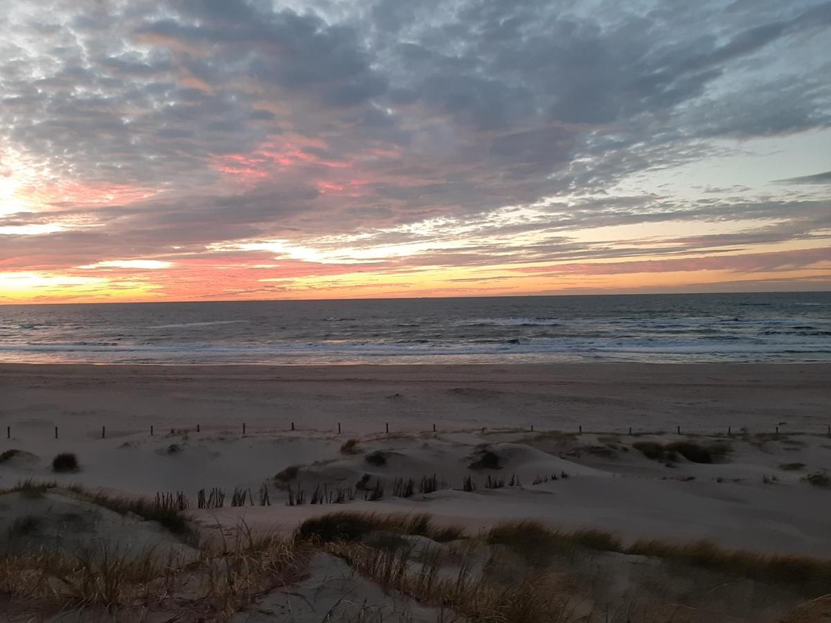 Boshuisje Petten Aan Zee Extérieur photo